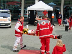 Wirbelsäulenschonender Transport