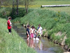 Floße im Dolderbach bai Marbach