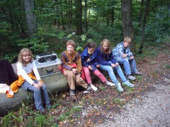 ...und Tierstimmen erraten