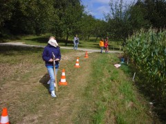 ...Hindenisparcours...